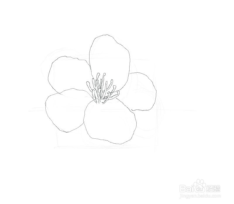 桃花的简笔画
