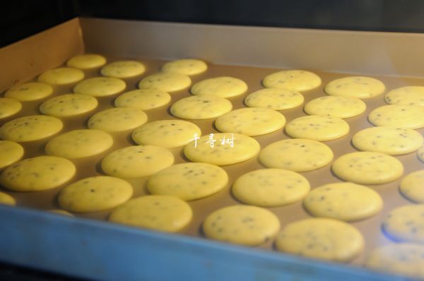 黑芝麻鸡蛋瓦片饼干