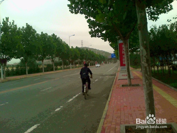 为什么树木种类不同种植区域不同