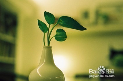 什么让对方感到幸福