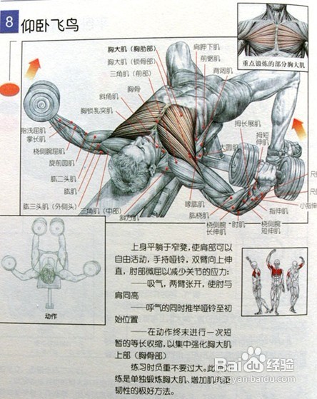 男士必须收藏:男士健身方案