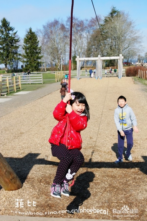 温哥华百万木头公园