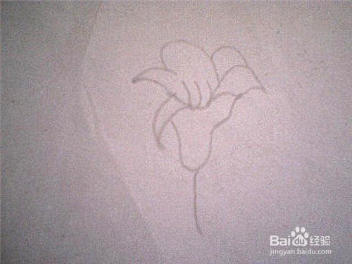 简笔画 百合花怎样画