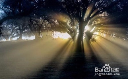 三七怎么吃最好,不知道怎么吃的点击查看