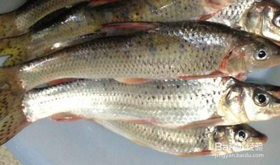 鱼土腥味太大怎么回事