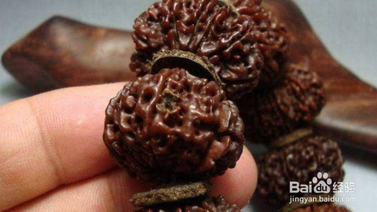 金刚菩提子正确刷法