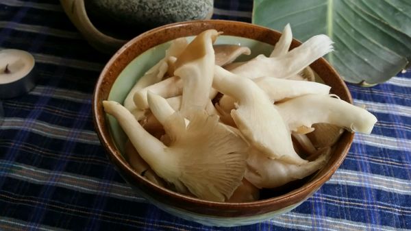 白贝豆腐土鸡花蟹煲