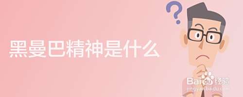黑曼巴精神是什么