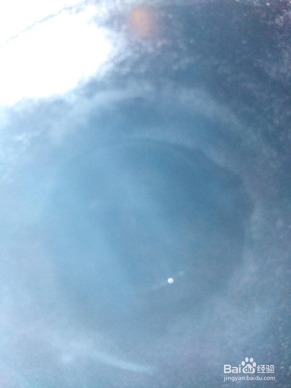 青芥菜如何炒作?