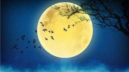 秋宵月下有怀这首诗表达的是作者什么的思想感情