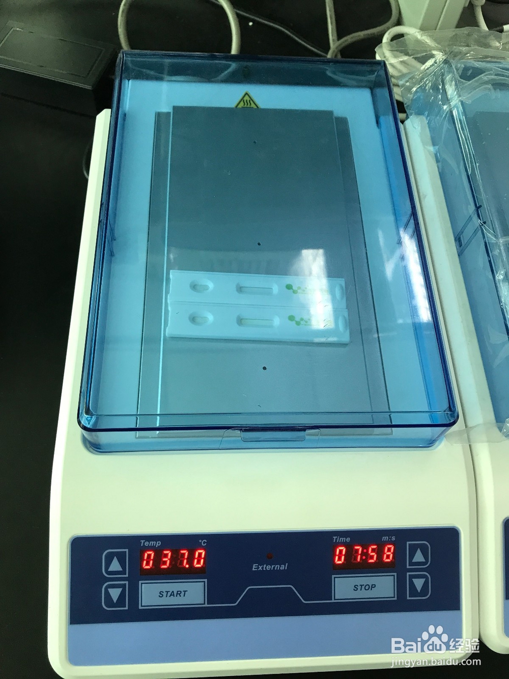 花生油等植物油中黄曲霉毒素B1快速定量检测操作