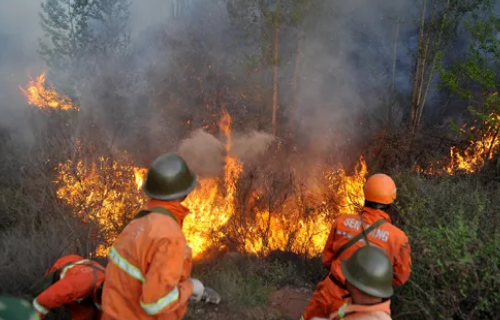 很多情况下火灾过程中产生大量什么硫化氢二氧化碳