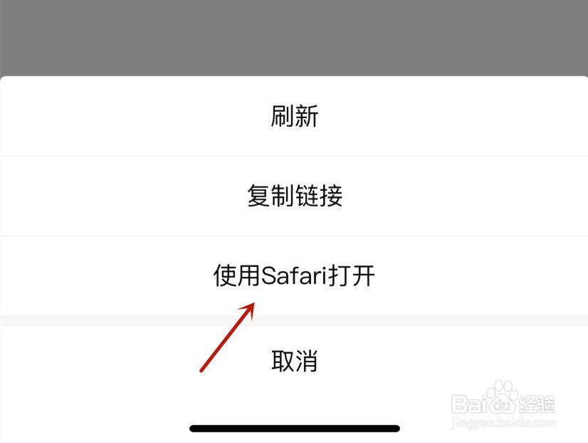 西瓜视频营业执照使用Safari打开