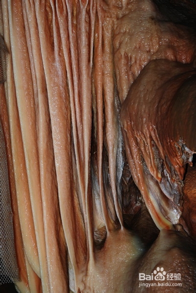 北京旅游攻略：[17]仙栖洞