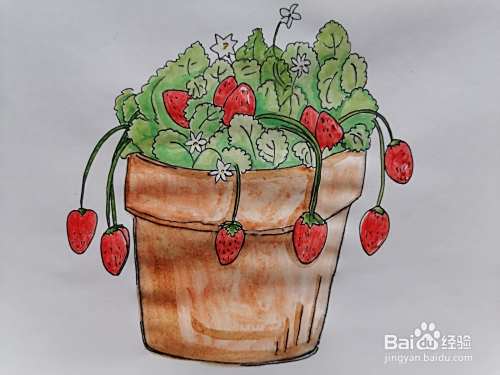 一盆草莓用水彩怎么画