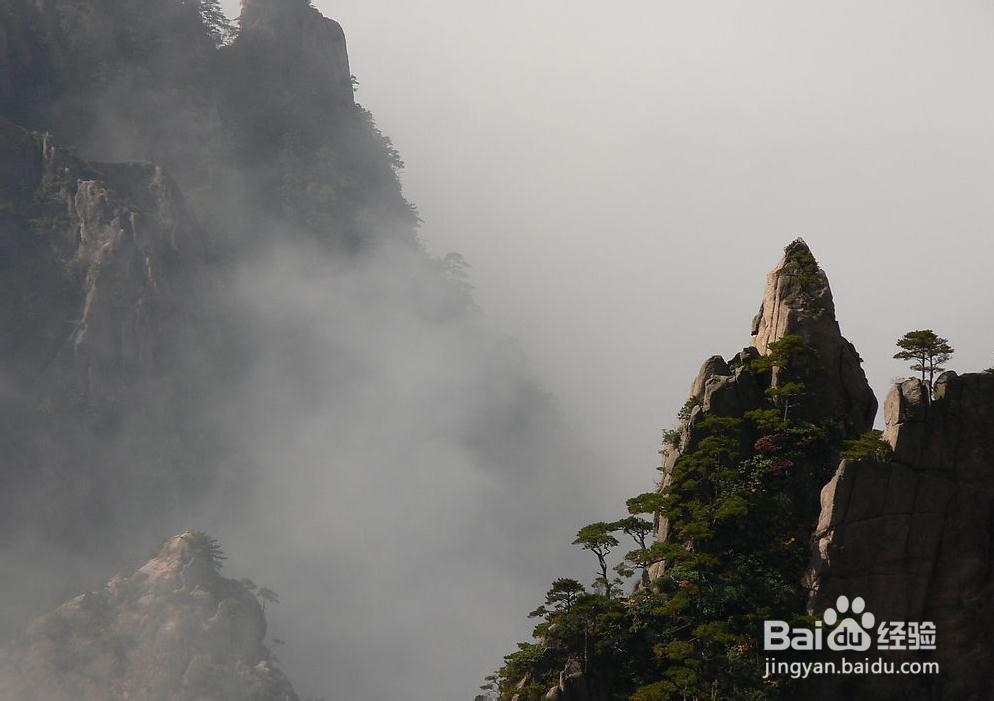 暑假自由行：[25]上海至黄山六日游旅游攻略