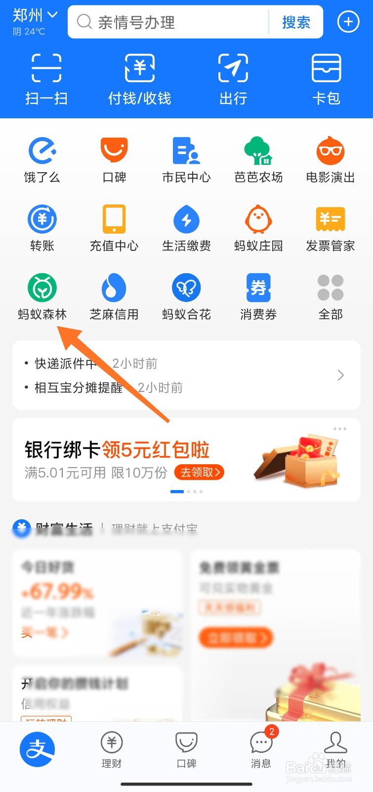 蚂蚁森林个人碳足迹怎么看