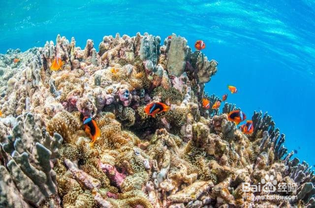 月薪 3000,也能到这个性价比超高的境外地旅行