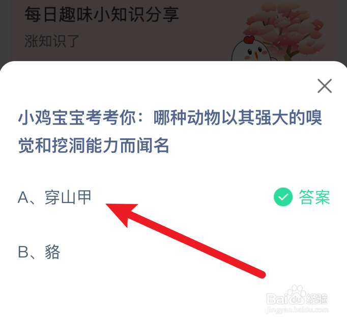 哪种动物以其强大嗅觉和挖洞能力闻名？蚂蚁庄园
