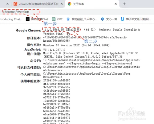 Python selenium chrome版本查询和对应驱动下载