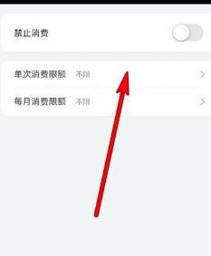和平精英怎么设置消费限制