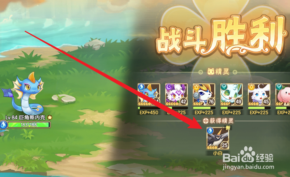 西普大陆怎么捕捉小白