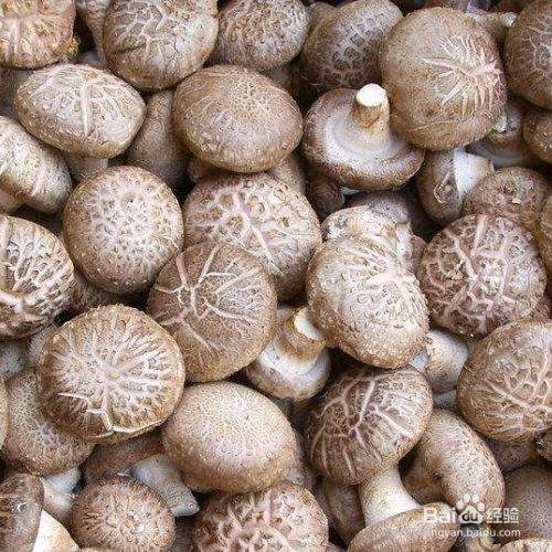 香菇怎么烧好吃