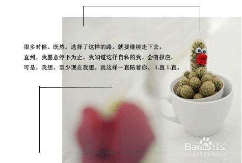 怎么管理好你的网络形象