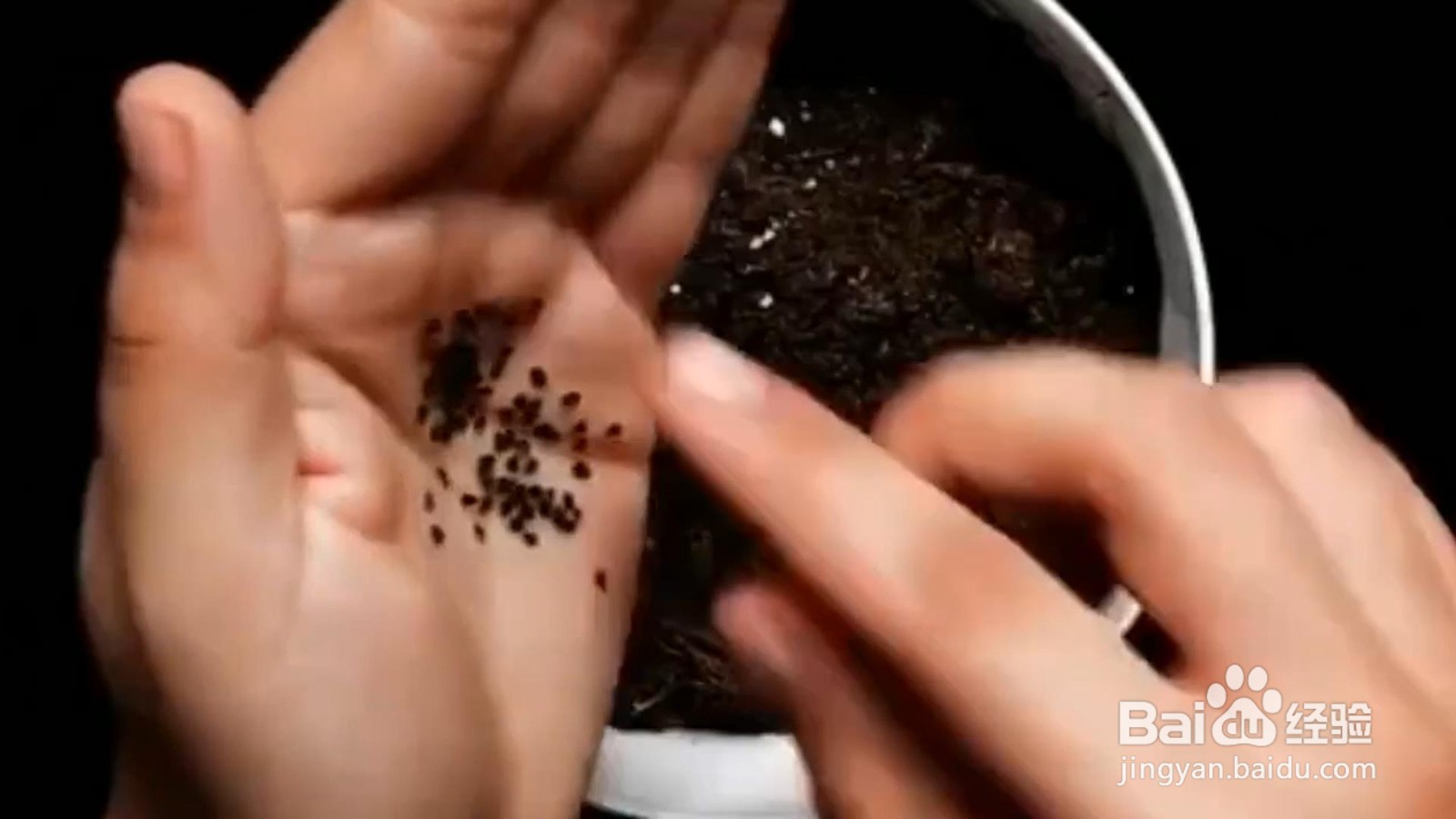 怎样巧用种植小技巧