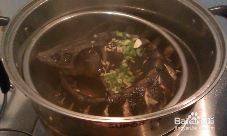 简单美味清蒸鲟鱼