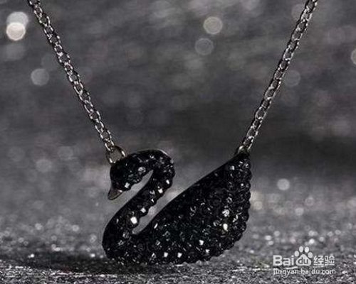 怎么区分黑天鹅真假