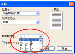 从第二页开始设置页码