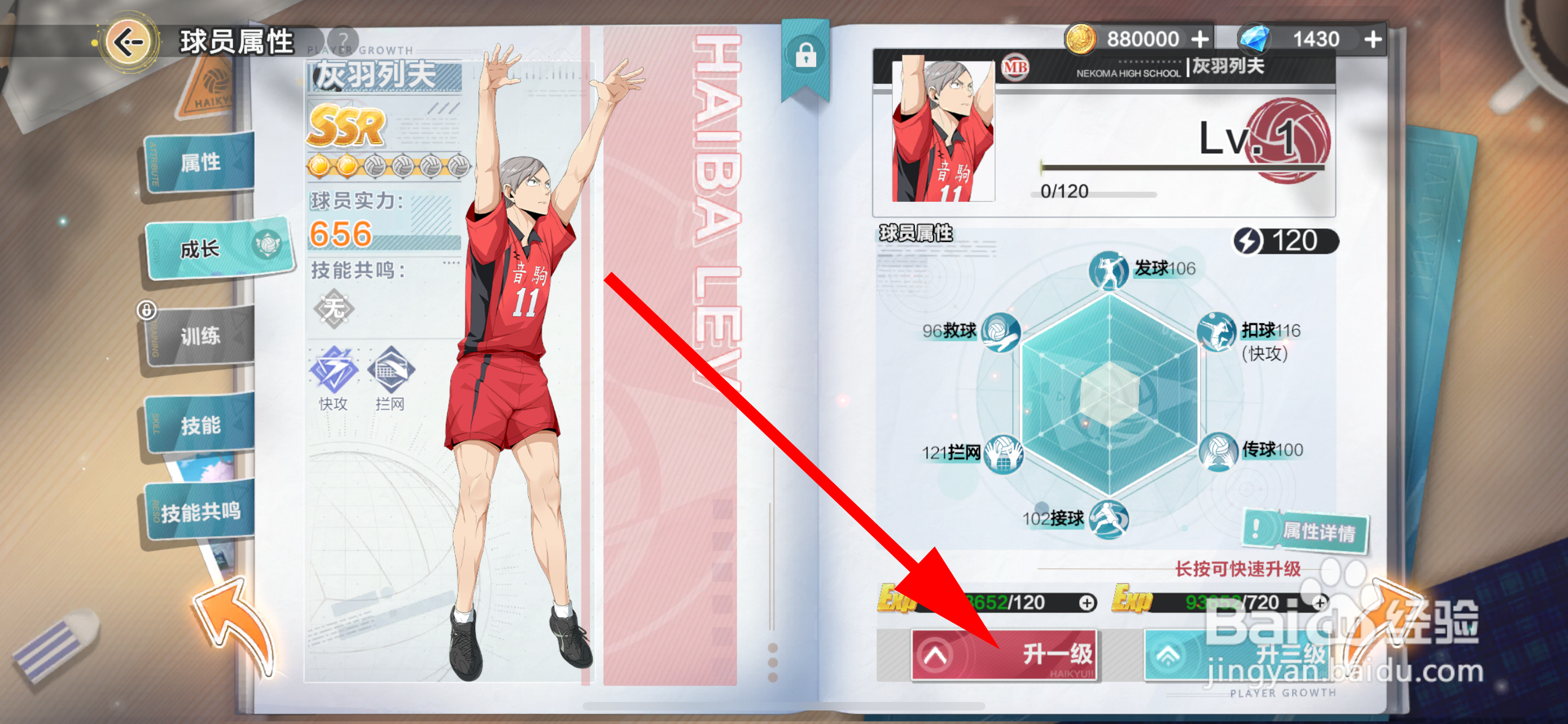 排球少年：新的征程怎么升级球员