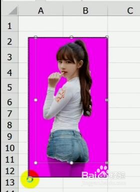 教你在excel表格中抠图的方法