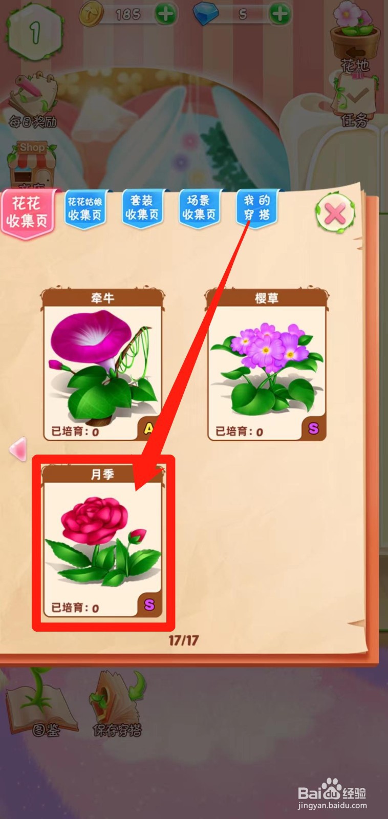 花花姑娘之魔法花园如何查看月季稀有度