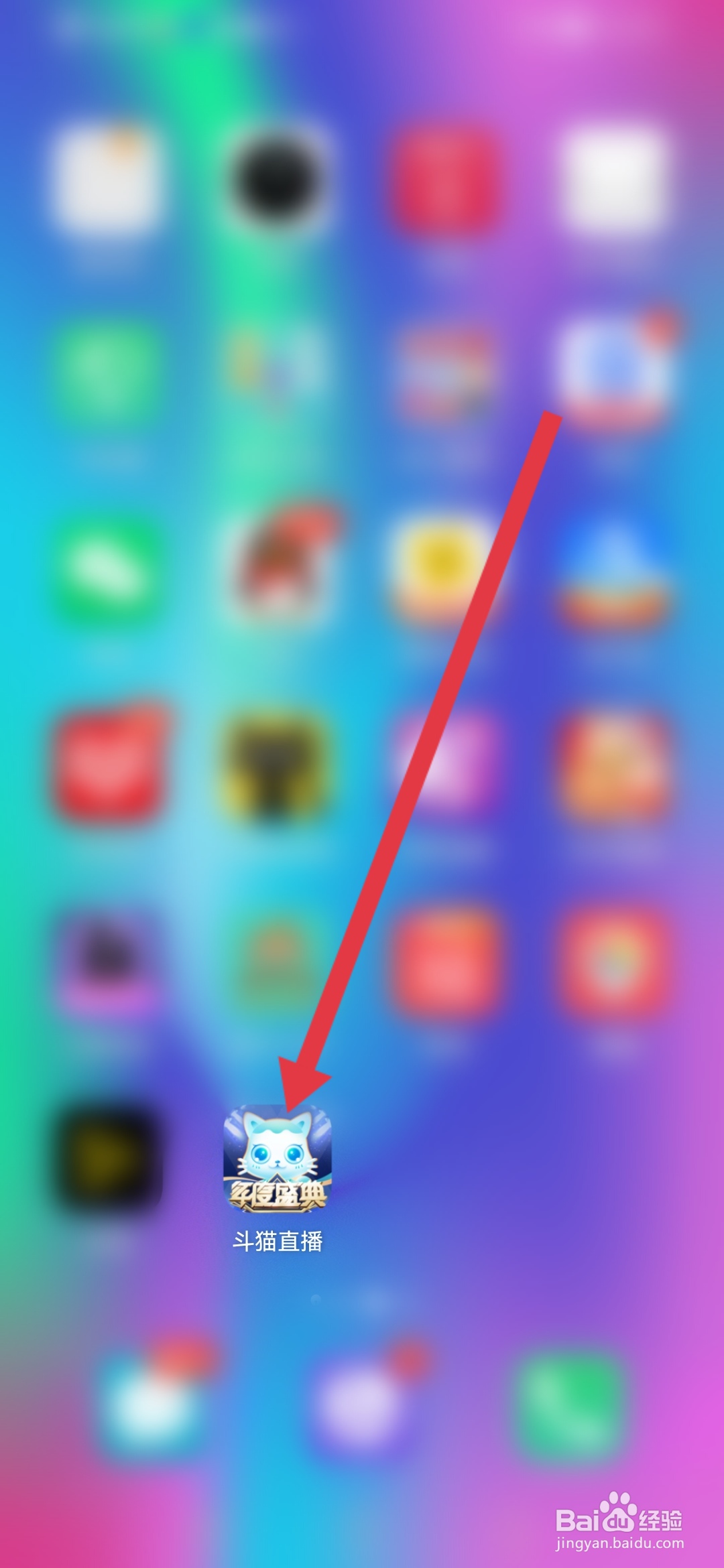 斗猫直播怎么申请成为主播