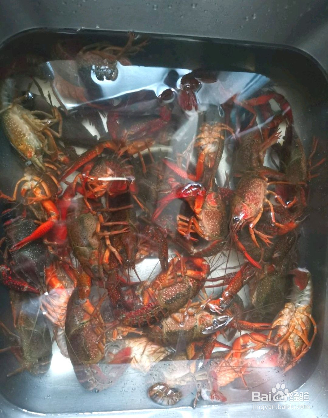 香辣小龙虾的做法