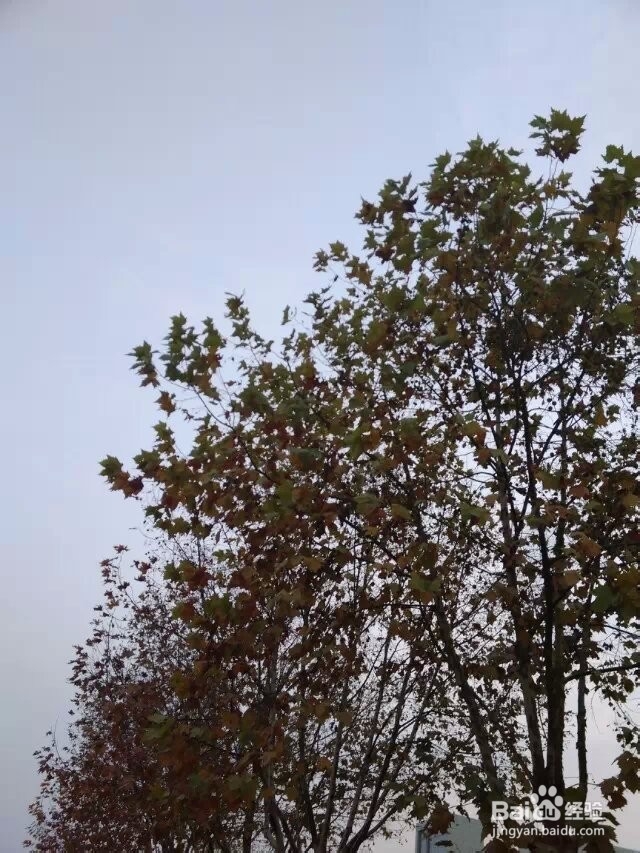 职场中不能讲的5种话