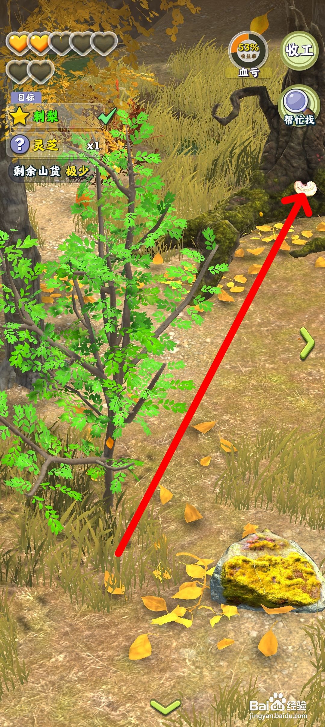 夺笋高手如何获得赤灵芝