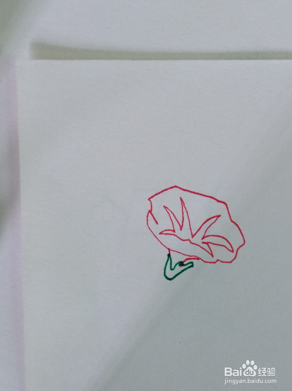 简笔画画喇叭花