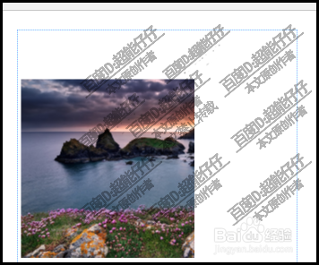 microsoft office publisher如何裁剪图片？