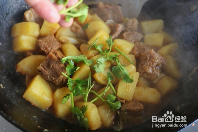 土豆牛腩啊怎么做