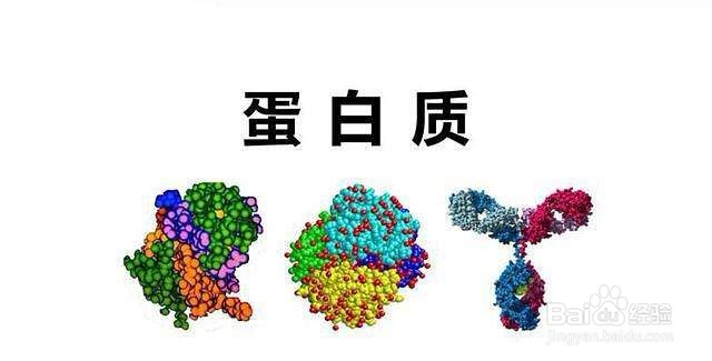 吃秀珍菇对身体有什么好处