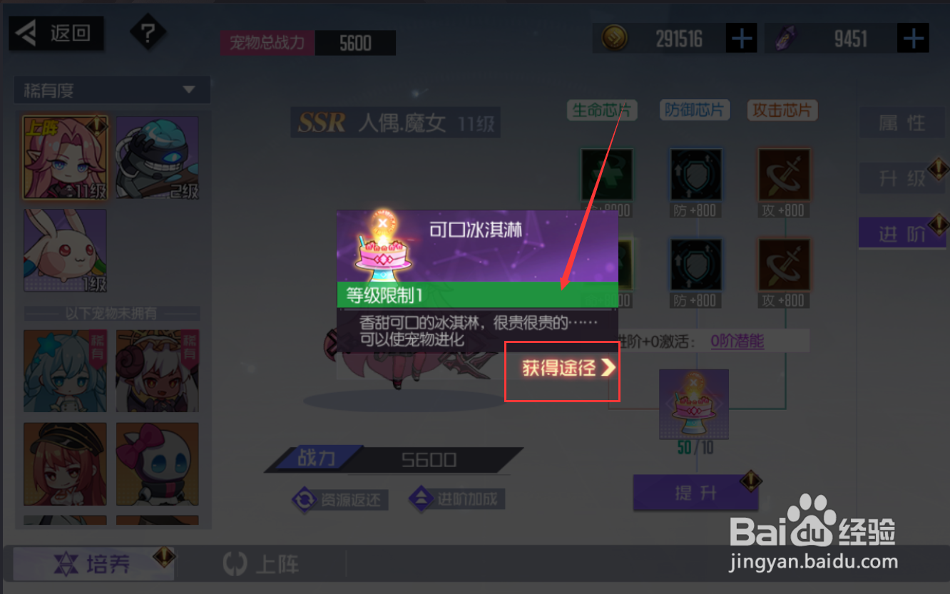 黑月手游宠物升级材料怎么获得