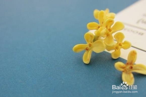 桂花盆景常见造型