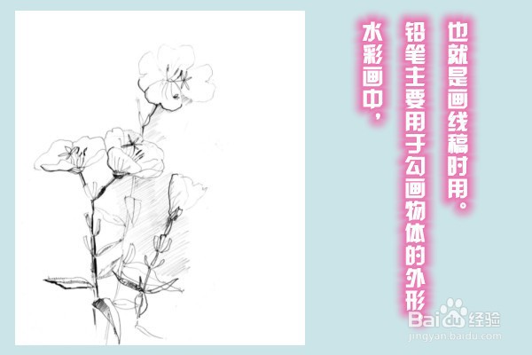 水彩画过程中铅笔一般起什么作用