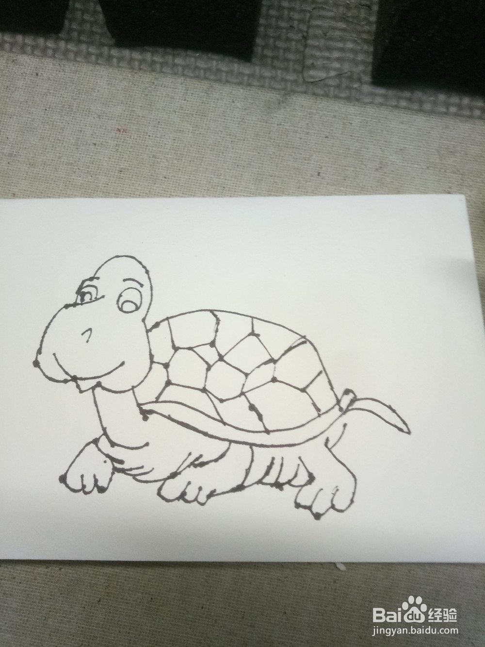 <b>怎么画简笔画卡通动物类之乌龟</b>
