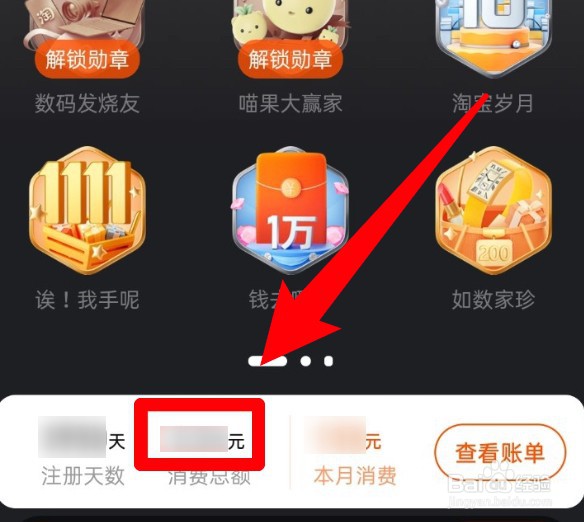 淘宝怎么看消费总额