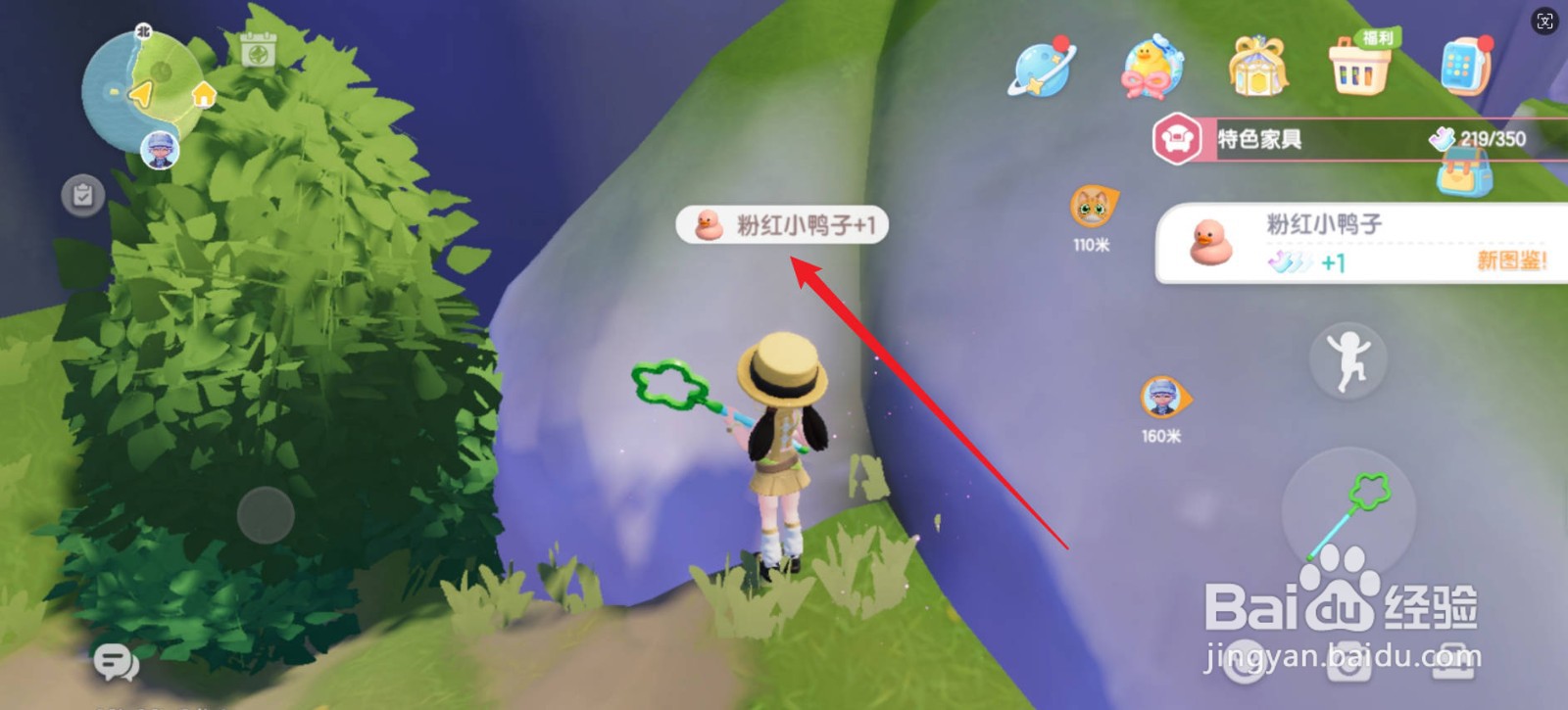 心动小镇粉红小鸭子怎么获得
