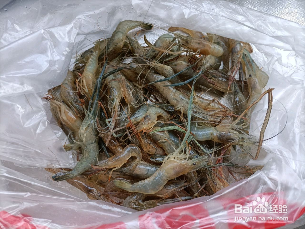 青椒炒河虾的做法